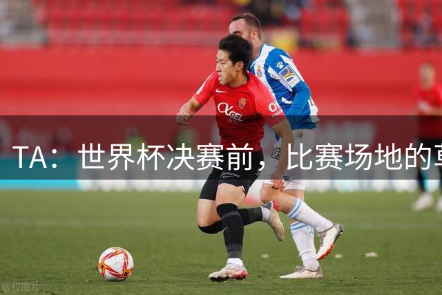 TA：世界杯决赛前，比赛场地的草皮质量成为焦点话题
